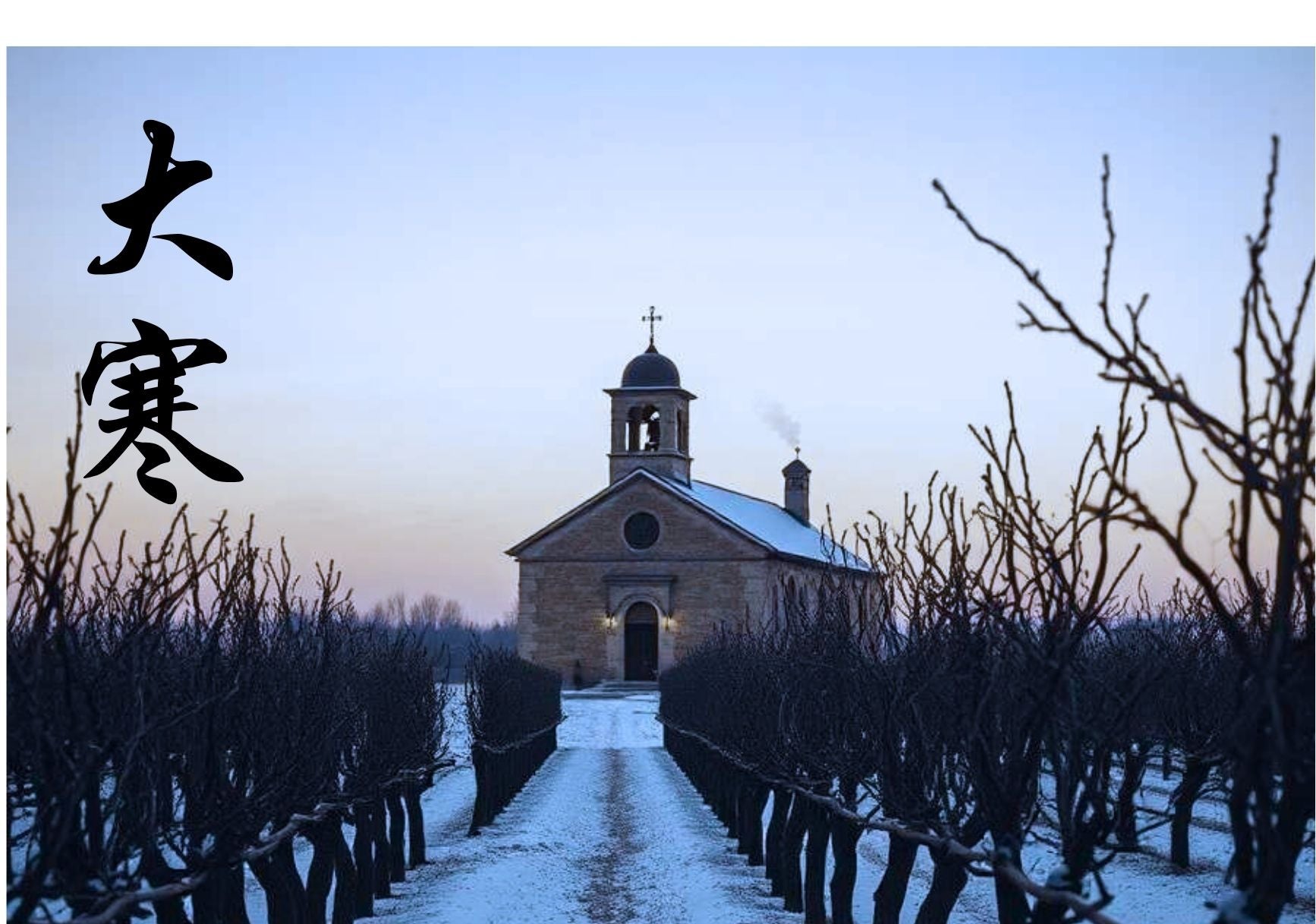 香氣儀式 - 大寒 • 葡萄園裡的斷捨離