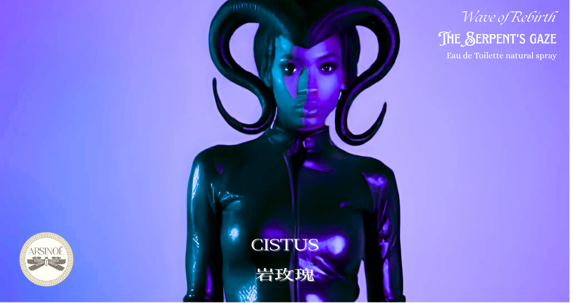 The Serpent's Gaze - Medusa