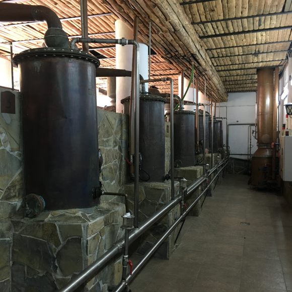 Unveil Bulgaria's Rose Festival: A Journey Through Ancient Mysteries and Fragrant Alchemy