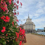 Unveil Bulgaria's Rose Festival: A Journey Through Ancient Mysteries and Fragrant Alchemy