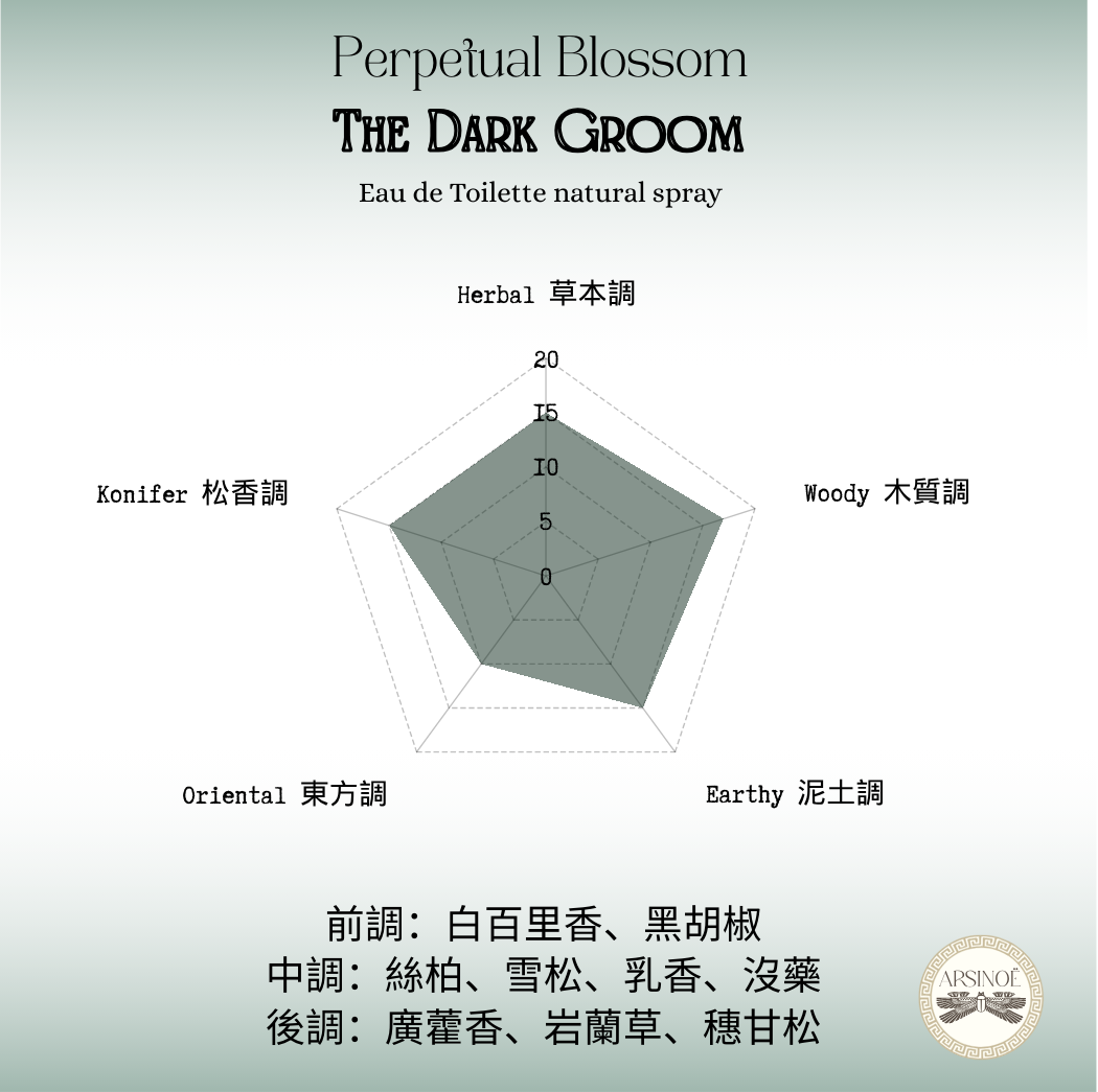 THE DARK GROOM