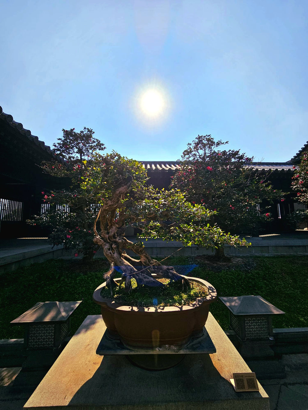 松 /Chung/ 古龍水身體噴霧