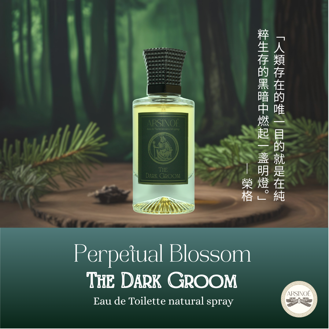 THE DARK GROOM